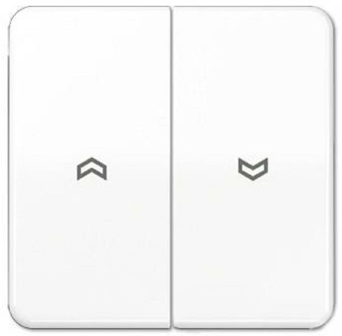 Лицевая панель Jung CD500 для 2-кл. выключателя жалюзи белый фото Лицевая панель Jung CD500 для 2-кл. выключателя жалюзи белый картинка